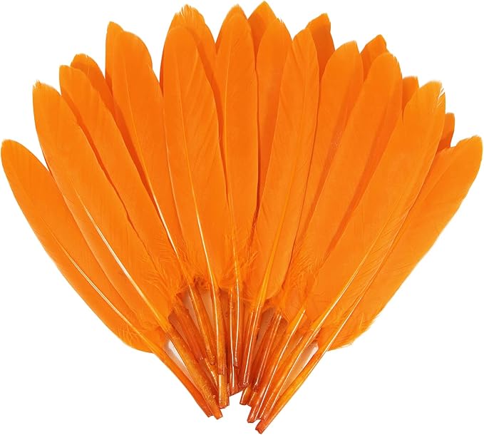 FeelfunFeather 120pcs Orange Goose Cochettes Feather Natural Bulk 4-6 inch by FeelFunFeather