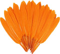 FeelfunFeather 120pcs Orange Goose Cochettes Feather Natural Bulk 4-6 inch by FeelFunFeather