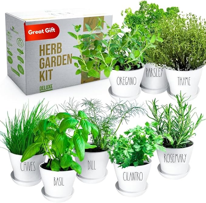 Deluxe Indoor & Outdoor Herb Garden Kit – 8 or The Most Popular Culinary Herbs by ZESTIGREENS