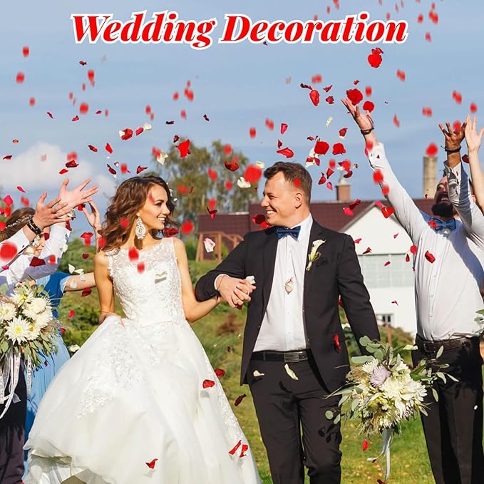 1500Pcs Real Dried Red Hydrangea Flower Petals - Image 4