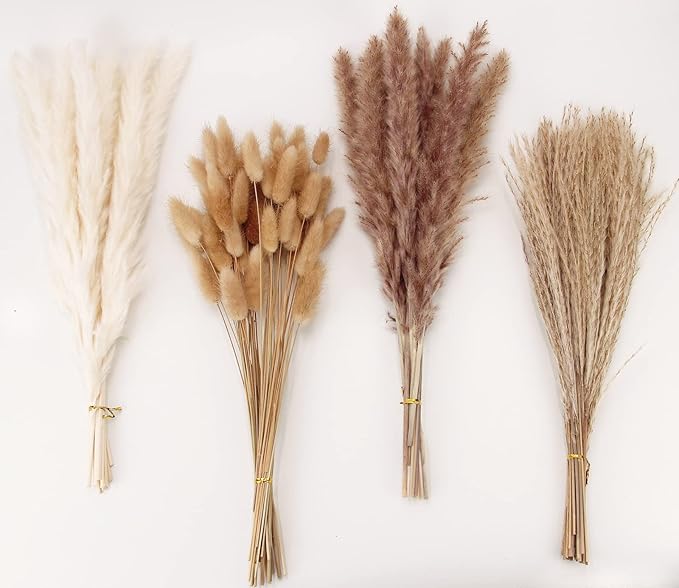 Dried Pampas Grass Decor, 100 Stems Pampas Grass Contains Bunny Tails Dried by ANPROOR