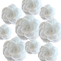 BRT Bearingshui Crepe Paper Flowers Decoration by BRT+Bearingshui