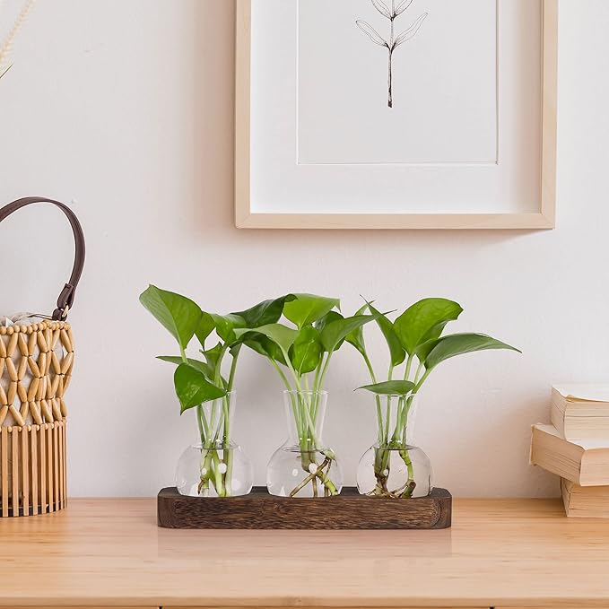 YIBOT Propagation Stations, Plant Propagation Vase, Desk Plant Terrarium - Image 7