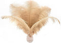 Ballinger Large Champagne Ostrich Feathers by Ballinger