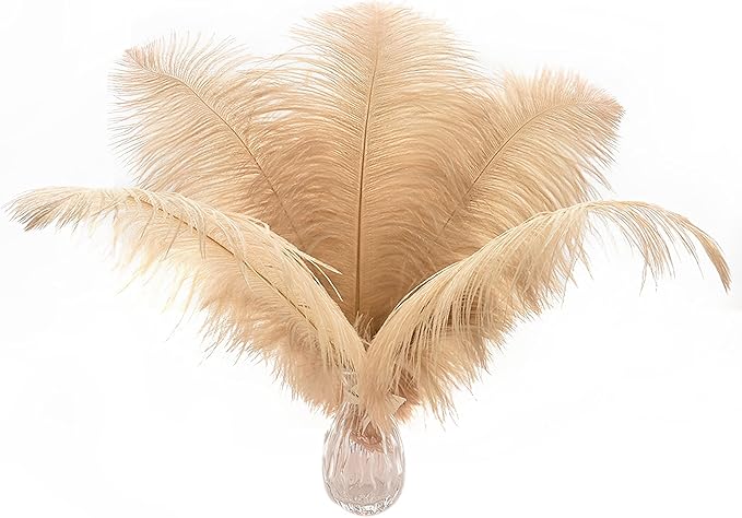 Ballinger Large Champagne Ostrich Feathers by Ballinger
