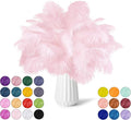 NEWONG 30pcs Light Pink Ostrich Feathers Natural Bulk 11-14inch Vase Craft by NEWONG