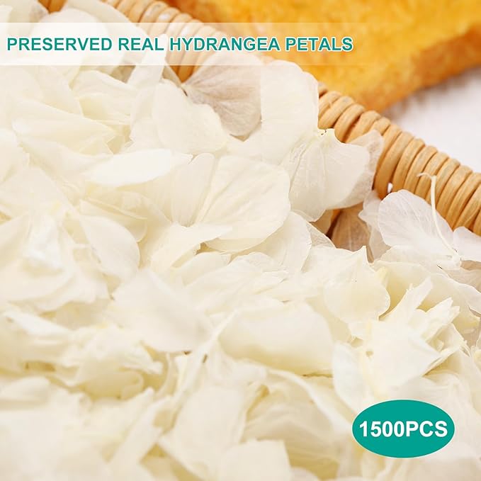 Dried Real Hydrangea Petals, Natural Preserved Dry Flower Petal - Image 2