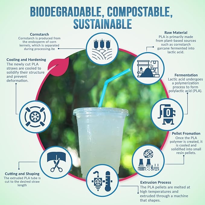 Weemium Compostable Straws Disposable 300 Pack | 100% Plant-Based Plastic-free - Image 3