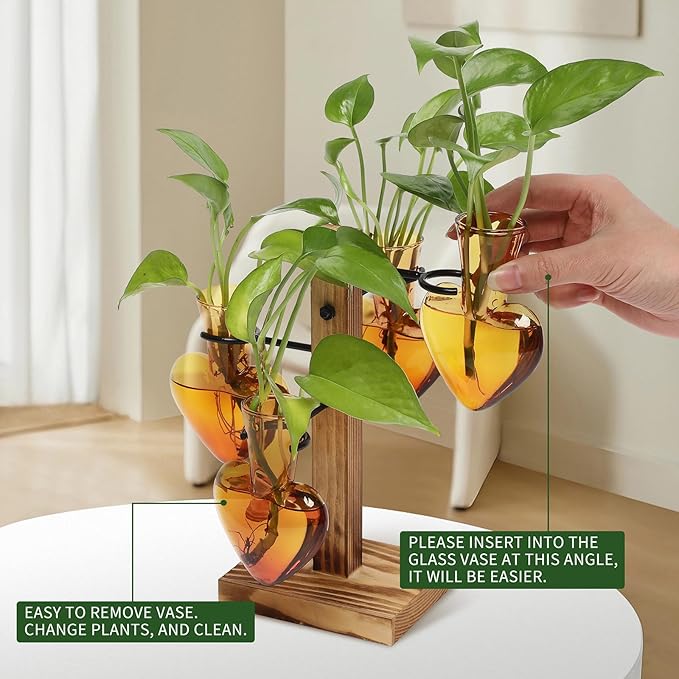 Plants Propagation Stations Plant Terrarium Kit Glass Planters - Image 3