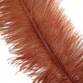 KOLIGHT 40pcs 12''~14'' Natural Ostrich Feathers by KOLIGHT