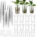 Baderke 35 Pack Plastic Plant Propagation Station Desktop Terrariums Plant by Baderke
