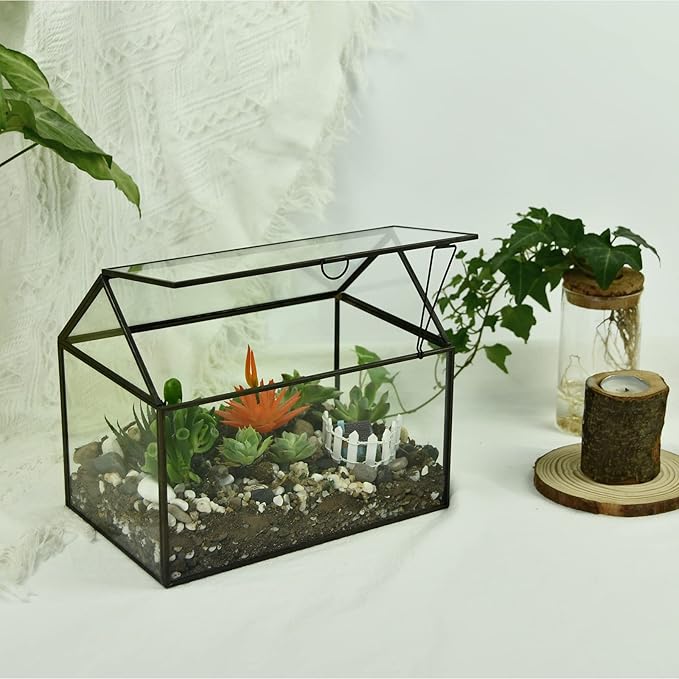 Black 1 Large Glass Plant Terrarium Kit - Image 7