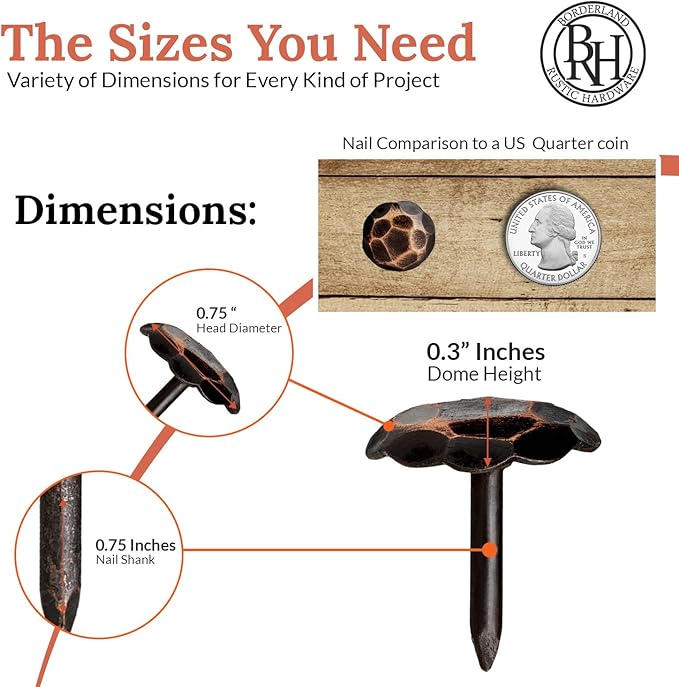 50 Pack 0.75" Round Head Iron Clavos Decorative Nails – Oil Rubbed Bronze – - Image 4