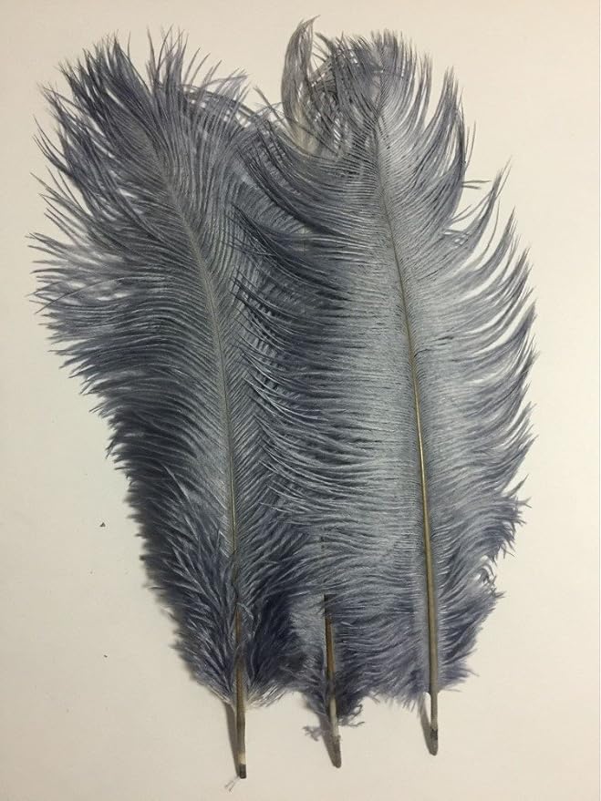 KOLIGHT® 40pcs 12''~14'' Natural Ostrich Feathers - Image 2