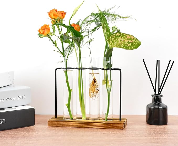 Plant Propagation Station, Glass Tubes - Image 5
