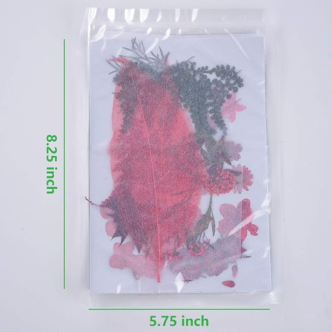 15 Types 48pcs Real Dried Pressed Flowers Leaf Plant Herbarium - Image 2
