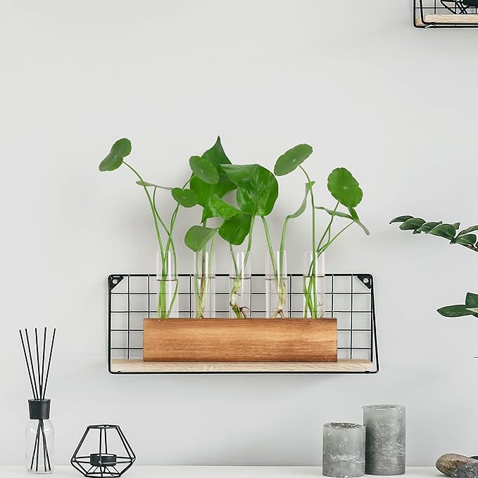 YIBOT Propagation Stations, Plant Terrarium - Image 5
