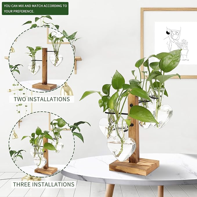 Plants Propagation Stations Plant Terrarium Kit Glass Planters - Image 5