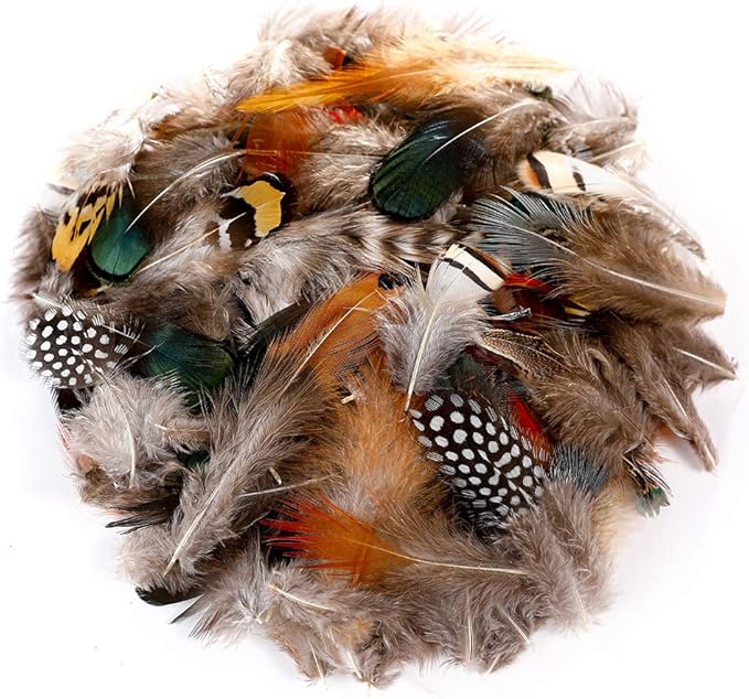 Ballinger 240pcs 12 Styled Natural Feathers Assorted Mixed Feathers - Image 2