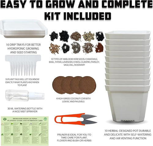 10 Herb Seeds Garden Starter Grow Kit - Image 2