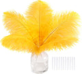 SOGUGOM Gold Craft Ostrich Feathers by SOGUGOM