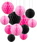 ZOOYOO 12Pcs 6" 10" Honeycomb Balls Decorations Hanging Tissue Paper Pom Poms by ZOOYOO