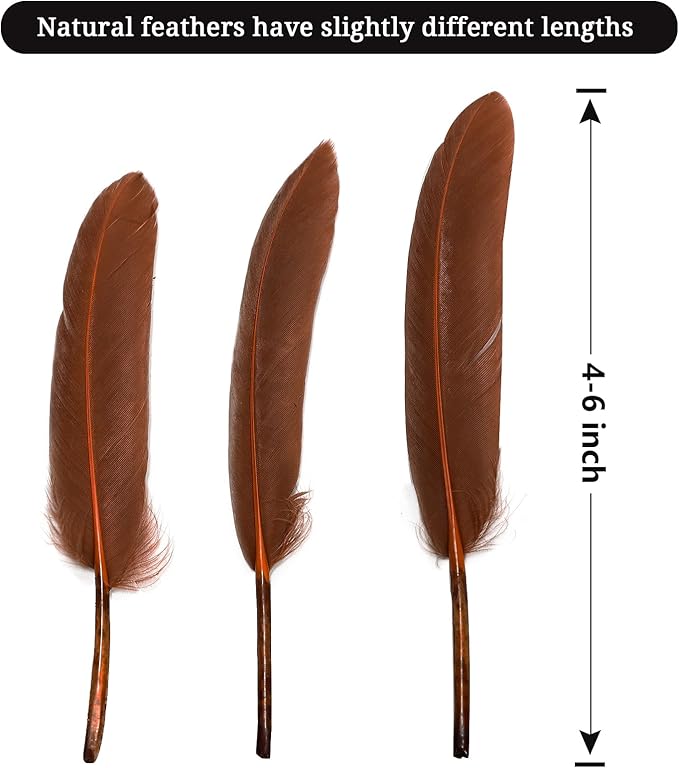 FeelfunFeather 120pcs Coffee Brown Goose Cochettes Feather Natural Bulk 4-6 - Image 2