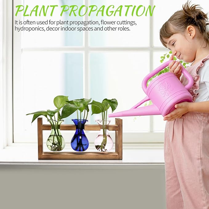 Plant Propagation Station Plant Terrarium Unique Birthday Gifts - Image 4