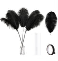 Holmgren Black Ostrich Feathers Bulk by Holmgren