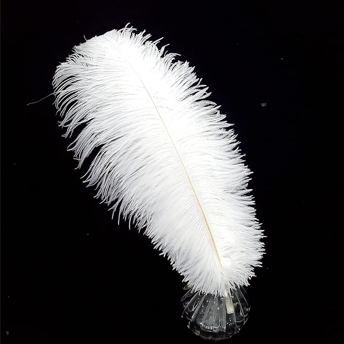 Happy Feather 16-18 inch White Ostrich Feathers Craft by SupplyHighQualityFeathers