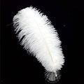 Happy Feather 16-18 inch White Ostrich Feathers Craft by SupplyHighQualityFeathers