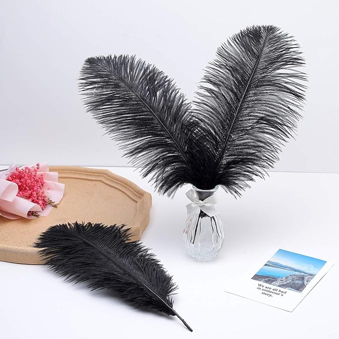 Ballinger Black Large Ostrich Feathers - Image 8