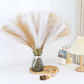 60 Pcs Brown Pampas Grass Decor 21.7 Inch Faux Pampas Grass Bulk Artificial by Unknown