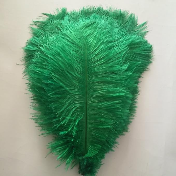 KOLIGHT 40pcs 12''~14'' Natural Ostrich Feathers - Image 2