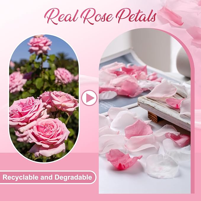 300 PCS Real Pink White Rose Flower Petals Confetti - Image 6