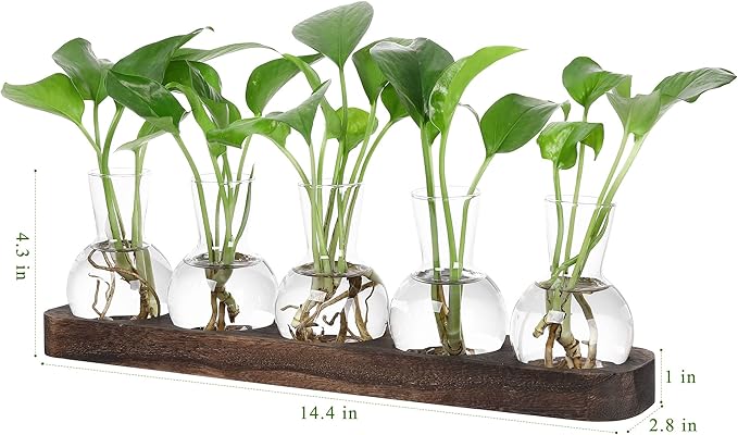 YIBOT Plant Propagation Stations, Glass Propagation Vases - Image 2