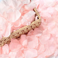 380 Pieces Real Light Pink Rose Petals Dried Rose Flower Petals by VAIPI