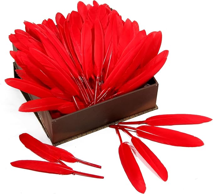 FeelfunFeather 120pcs Red Goose Cochettes Feather Natural Bulk 4-6 inch 10-15cm - Image 4