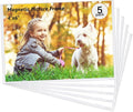 5 Pack Magnetic Picture Frames for Refrigerator, Holds 4 x 6 Inches Photos by ChenTeng