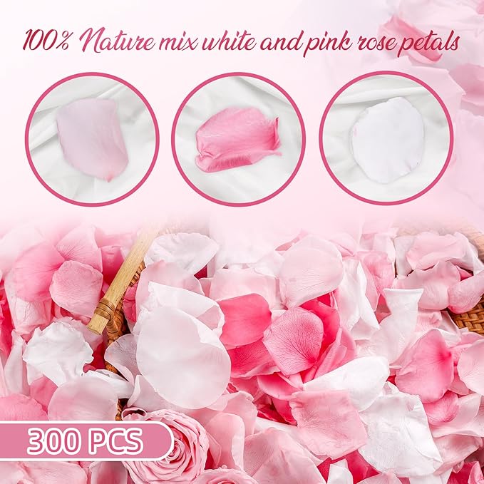 300 PCS Real Pink White Rose Flower Petals Confetti - Image 3