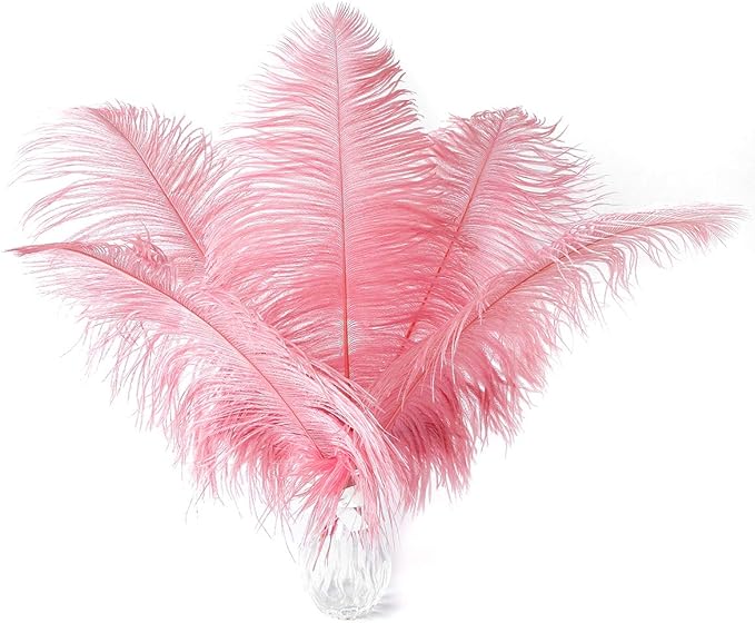 24pcs Natural Lotus Pink Ostrich Feathers 10-12inch by Ballinger