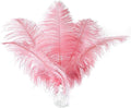 12pcs Natural Lotus Pink Ostrich Feathers 12-14inch by Ballinger