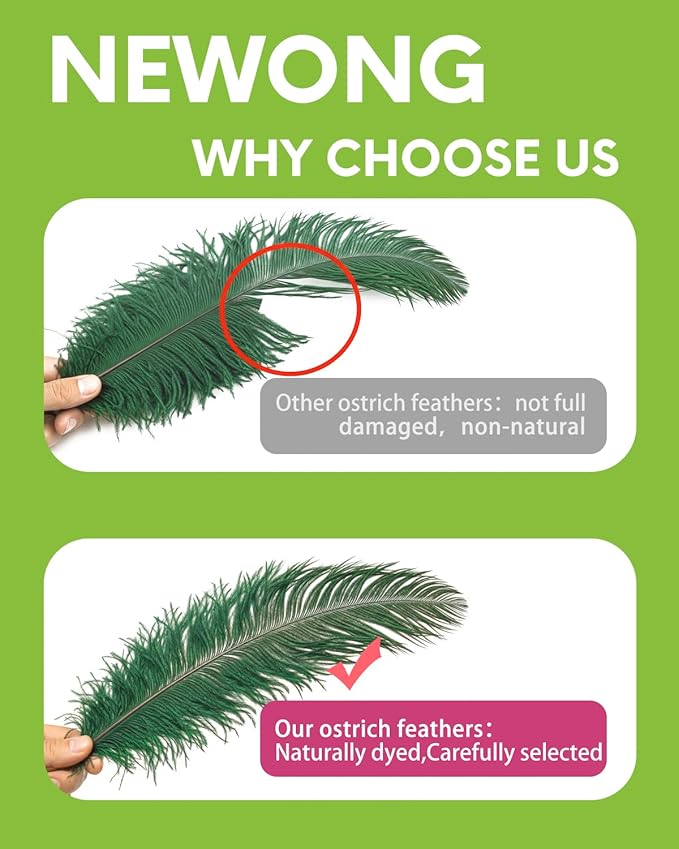 NEWONG 30pcs Dark Green Ostrich Feathers Natural Bulk 11-14inch Vase Craft - Image 5