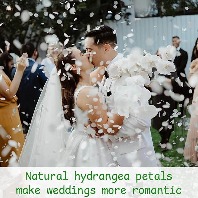 1500Pcs Real Dried Ivory White Hydrangea Flower Petals - Image 7