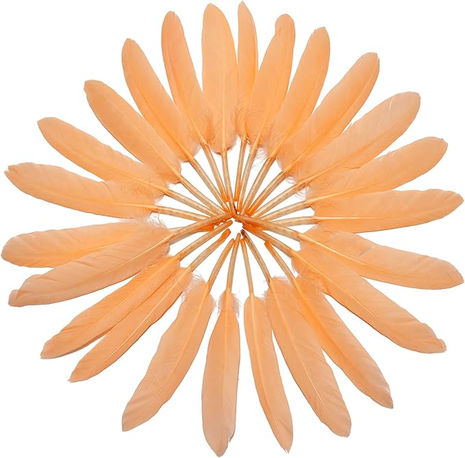 FeelfunFeather 120pcs Champagne Goose Cochettes Feather Natural Bulk 4-6 inch - Image 3