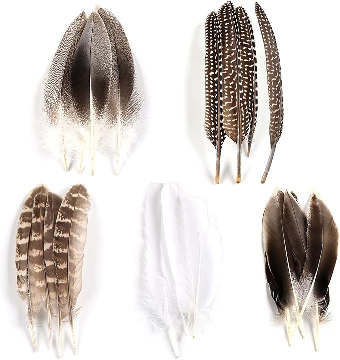 MAOFENG 20pcs Natural Pheasant Feathers Bulk 5 Styles Mixed Feathers Spotted - Image 2