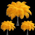 Maitys 90 Pcs Large Natural Ostrich Feathers Bulk 14-16 Inch 12-14 Inch 10-12 by Maitys