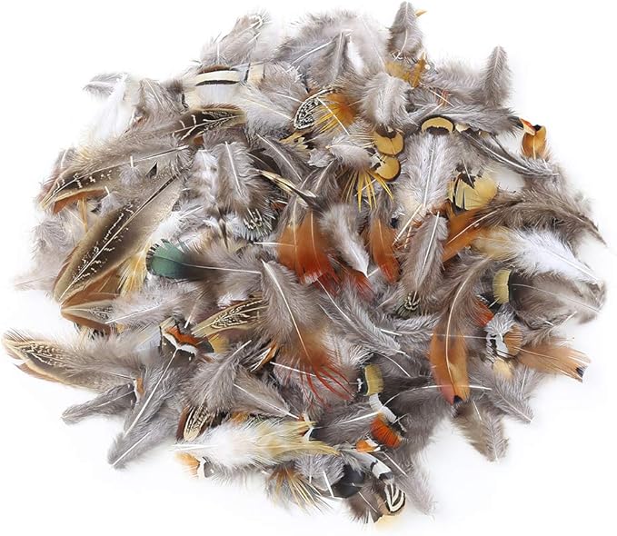 180pcs 9 Styled Natural Feathers Assorted Mixed Feathers - Image 3