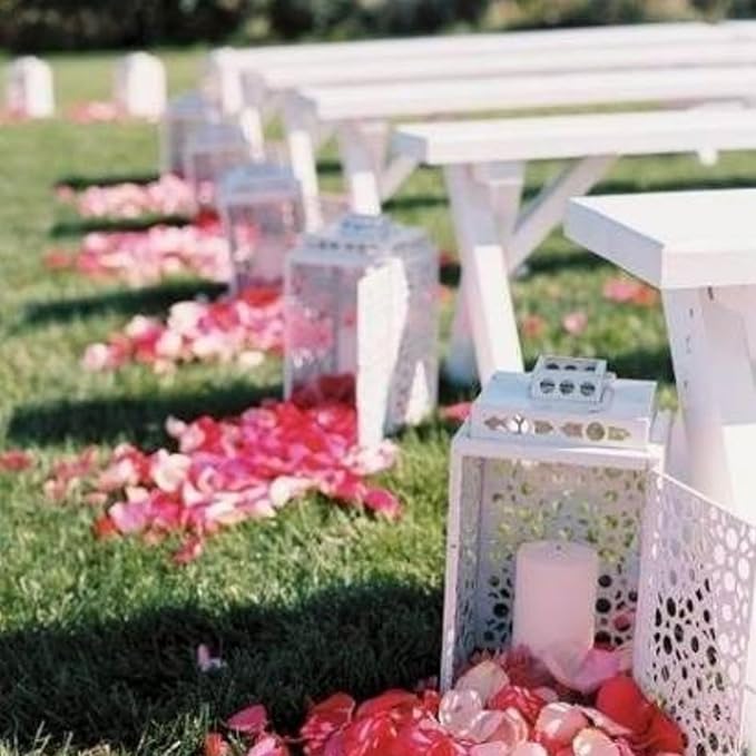 CODE FLORIST 1500 PCS Silk Rose Petals - Image 3