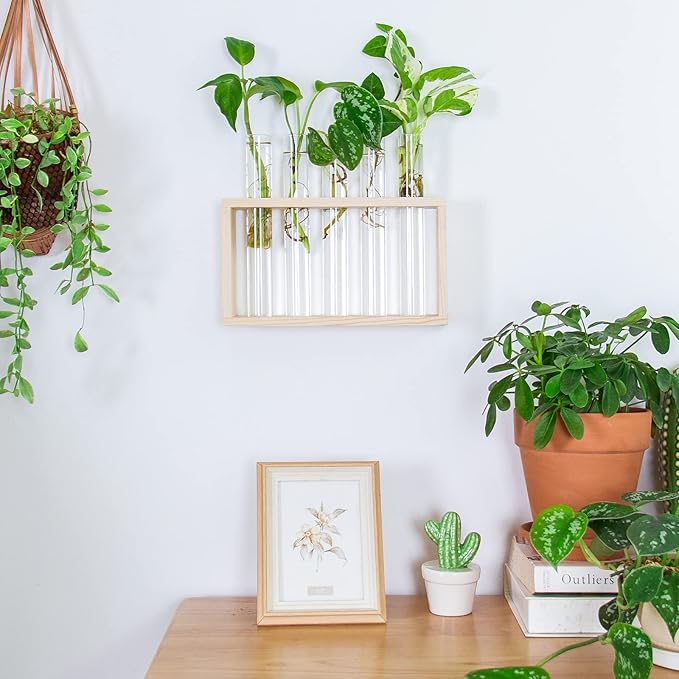 Ivolador Plant Propagation Station Terrariumin Wall Test Tube Vases Bud - Image 7